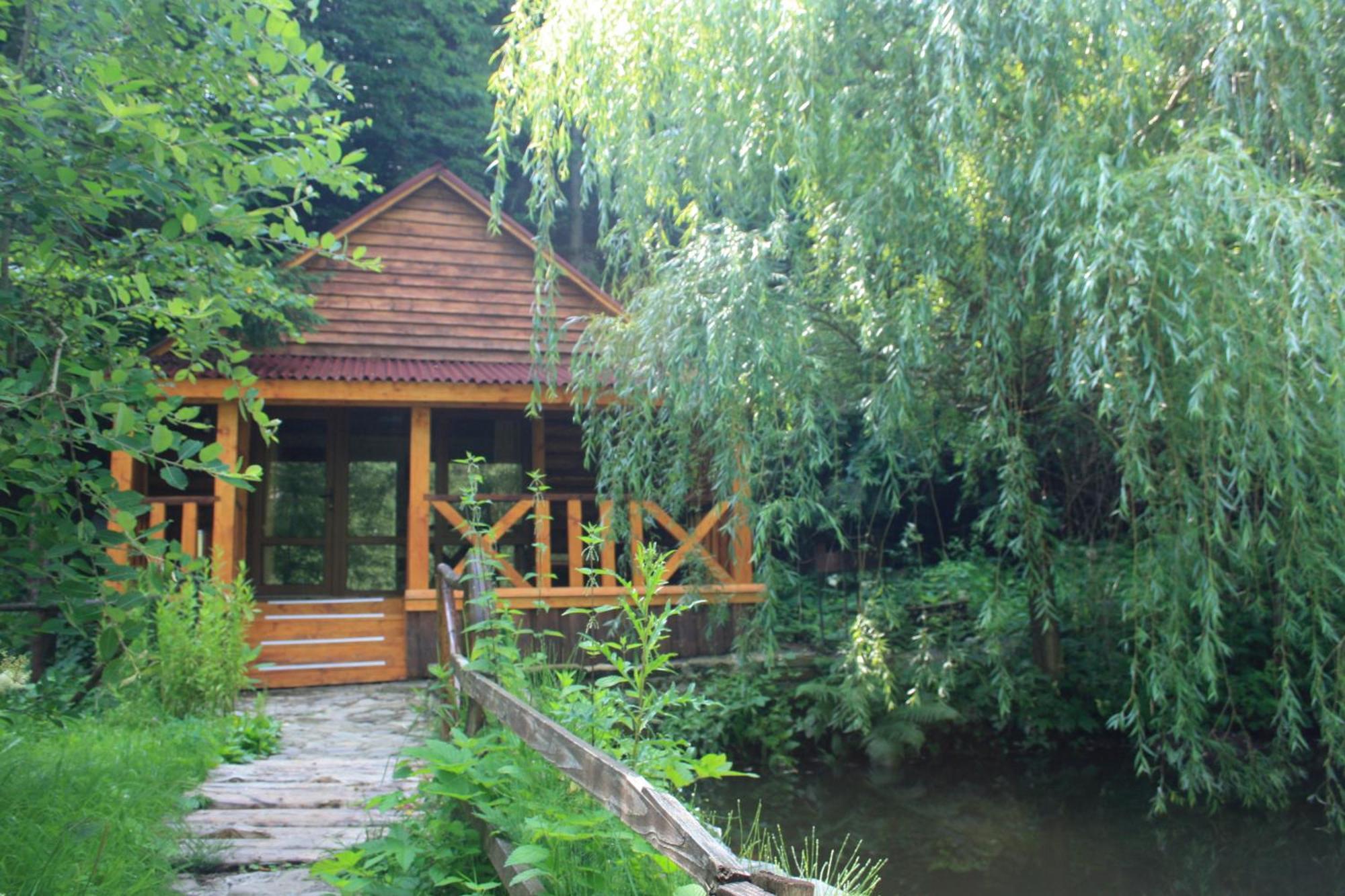 Hotel Zarinok à Pilipets Extérieur photo