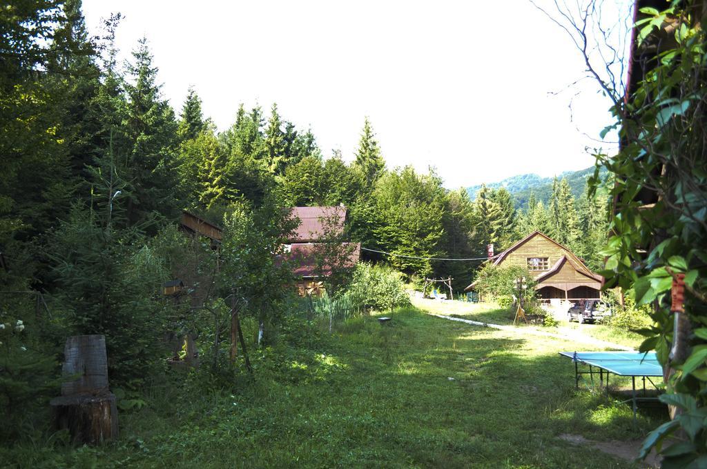 Hotel Zarinok à Pilipets Extérieur photo
