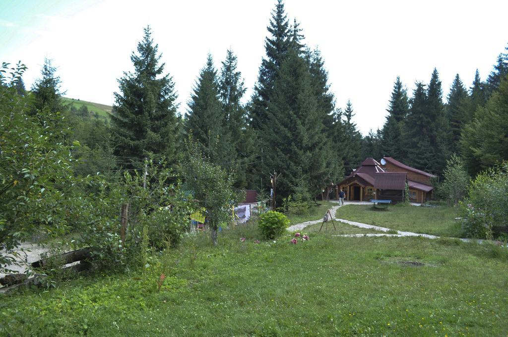 Hotel Zarinok à Pilipets Extérieur photo